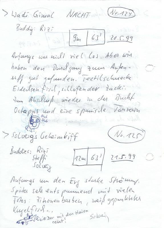Logbuchseite
