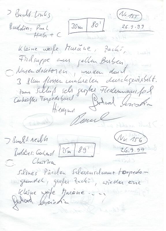 Logbuchseite
