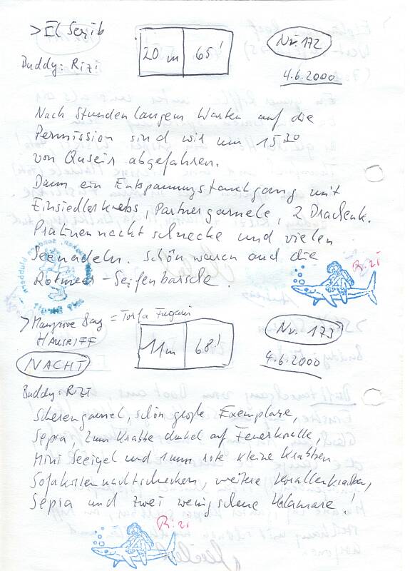 Logbuchseite