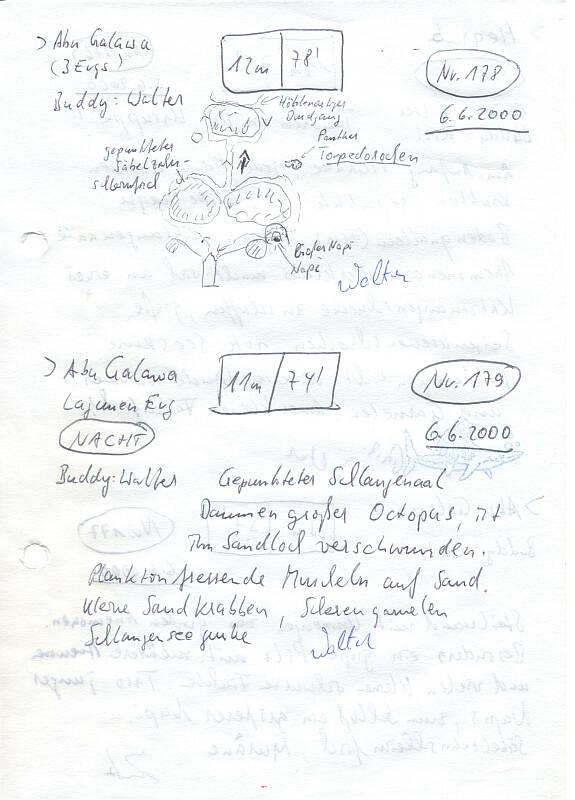 Logbuchseite