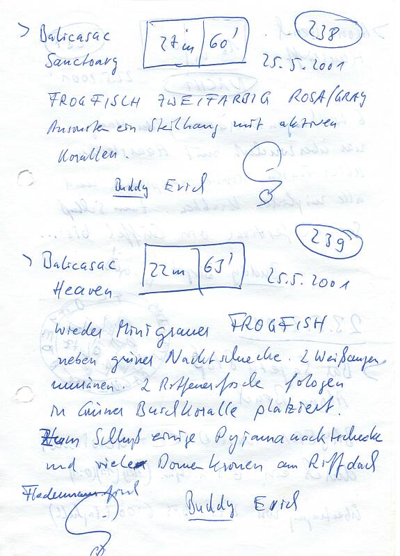 Logbuchseite