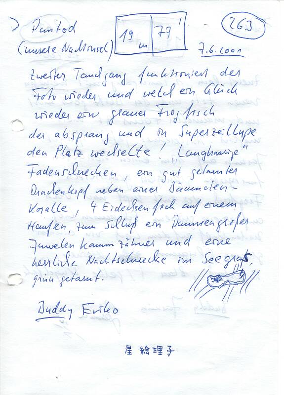 Logbuchseite