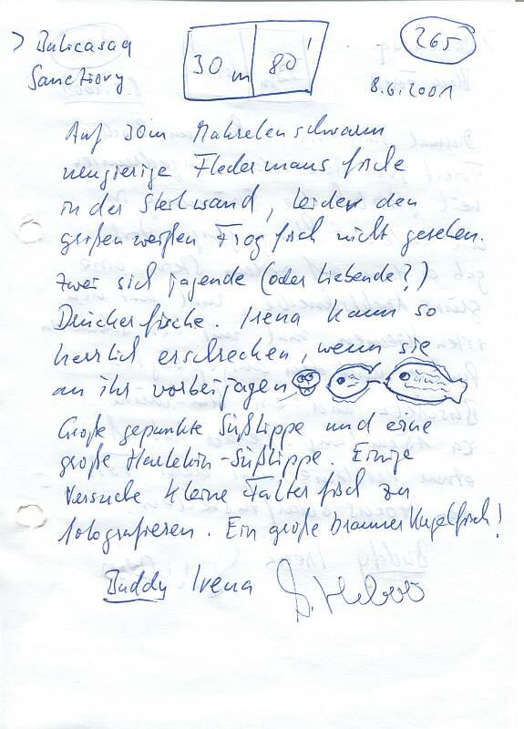Logbuchseite