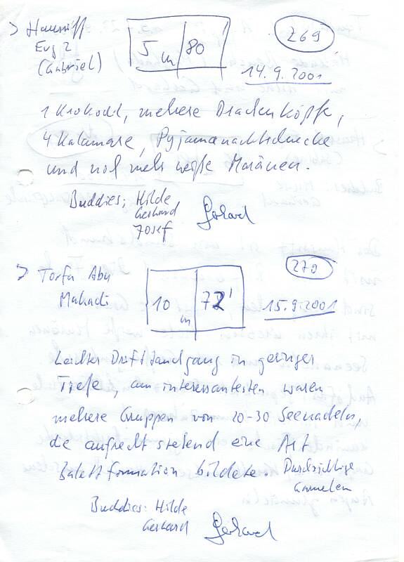Logbuchseite