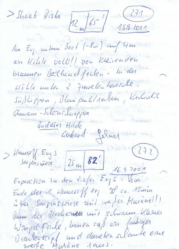 Logbuchseite
