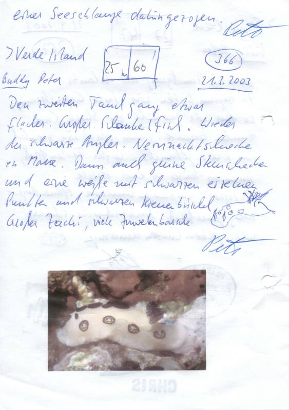 Logbuchseite