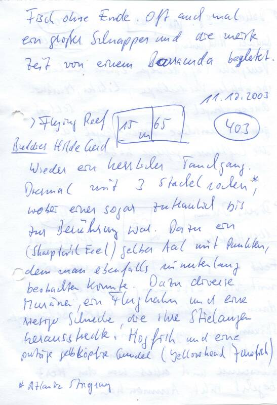 Logbuchseite