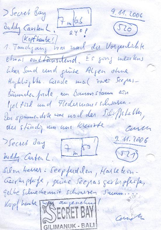Logbuchseite