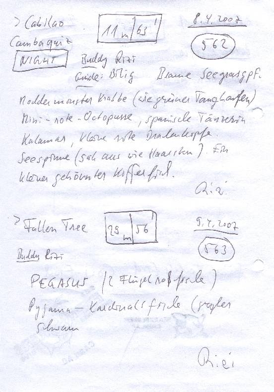 Logbuchseite