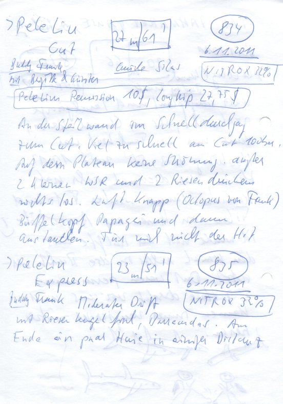 Logbuchseite