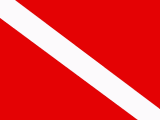 Taucherflagge