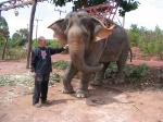 Lang mi net oh! Elefant