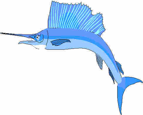 sailfishhellblau.jpg