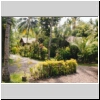 Sulawesi2000_L3_24a_MurexResRec.jpg